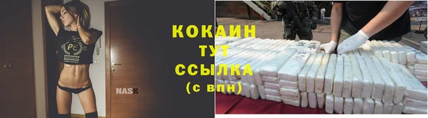 гидропоника Богданович