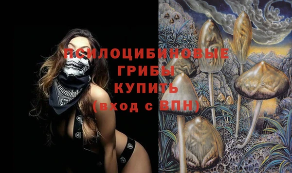 бошки Богородицк