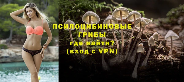 бошки Богородицк